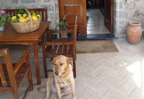 Hotel L'olivara  | Piano di Sorrento | Napoli | Italia 14