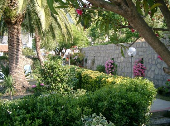 Hotel Matarese  | Casamicciola Terme-Isole Ischia | Napoli | Italia 6