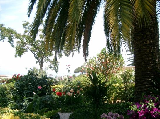 Hotel Matarese  | Casamicciola Terme-Isole Ischia | Napoli | Italia 9