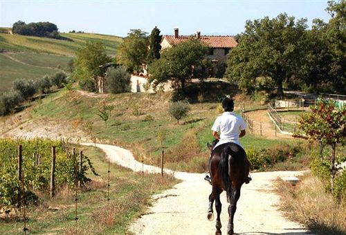 Hotel Le Crete  | Trequanda | Siena | Italia 4