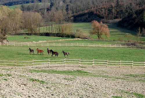 Hotel Le Crete  | Trequanda | Siena | Italia 5