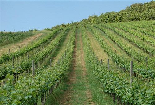 Hotel Le Crete  | Trequanda | Siena | Italia 8