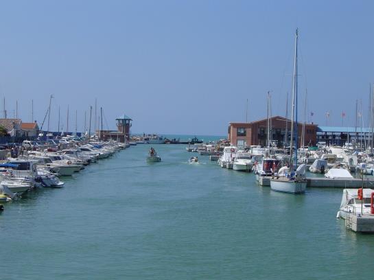 Residence Mediterraneo  | Grosseto | Grosseto | Italia 14