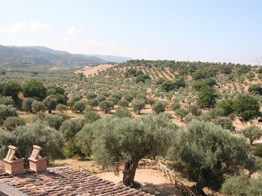 Hotel Tenuta Ciminata Greco  | Rossano | Cosenza | Italia 6