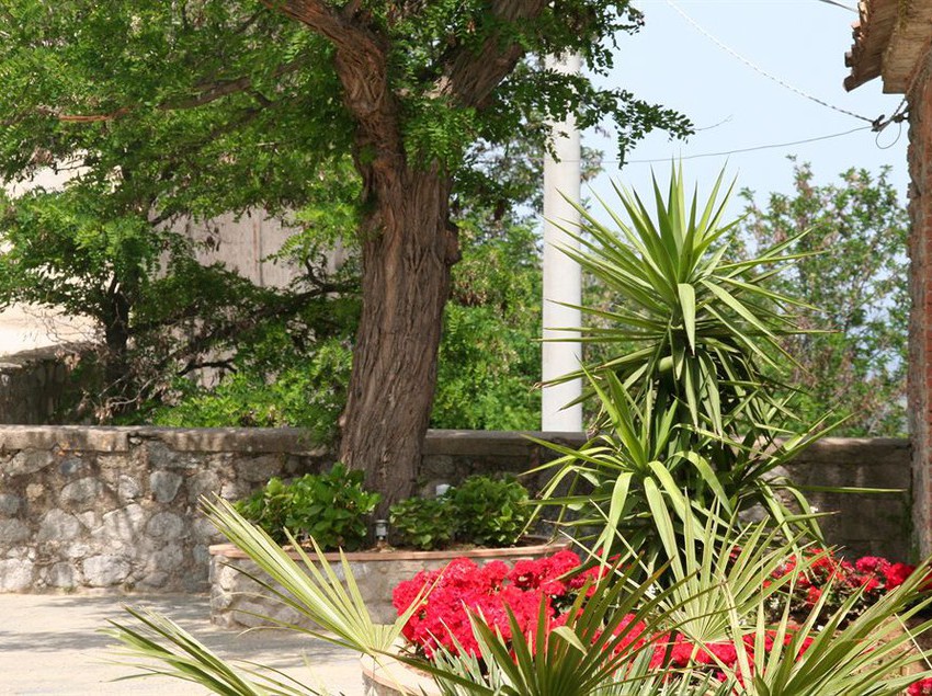 Hotel Tenuta Ciminata Greco  | Rossano | Cosenza | Italia 7