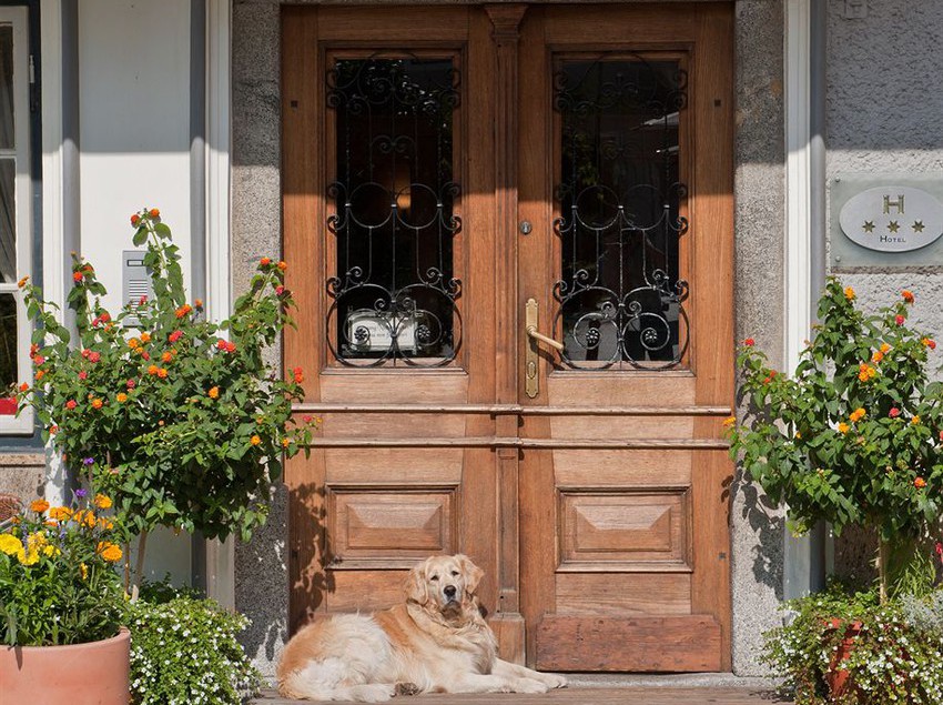 Hotel Emma  | Villabassa | Bolzano | Italia 5