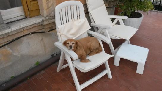 Hotel Portofino  | Rapallo | Genova | Italia 4