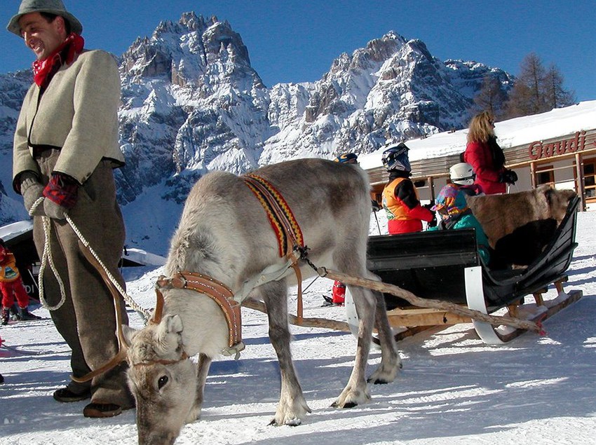 S Dolomitenhof & Chalet Alte Post  | Sesto | Bolzano | Italia 1