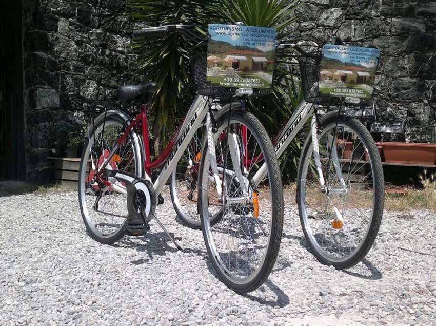 Agriturismo La Collina Verde  | Levanto | La Spezia | Italia 9