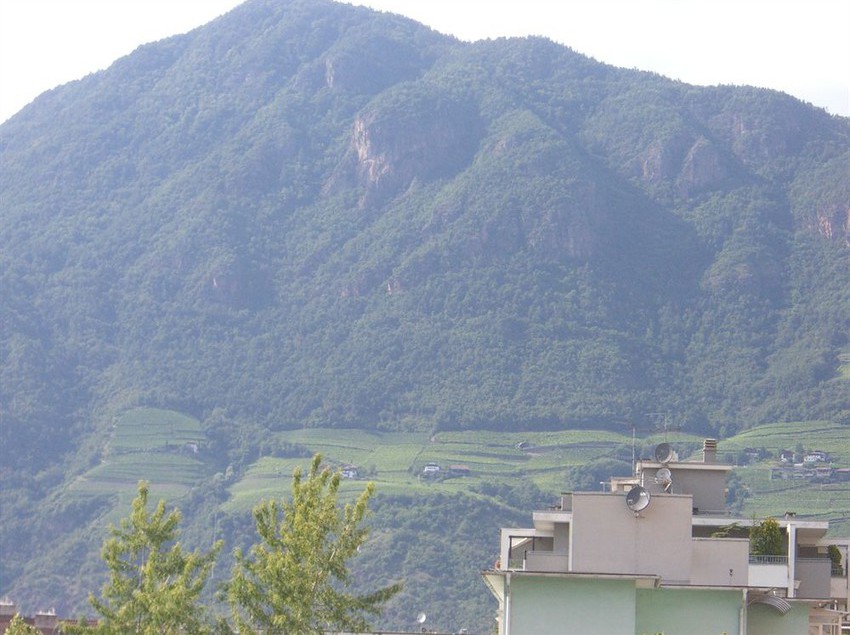 Hotel Ariston  | Bolzano | Bolzano | Italia 8