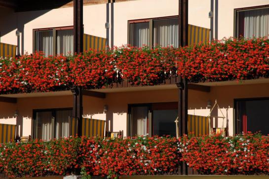 Hotel Anna  | Silandro | Bolzano | Italia 16