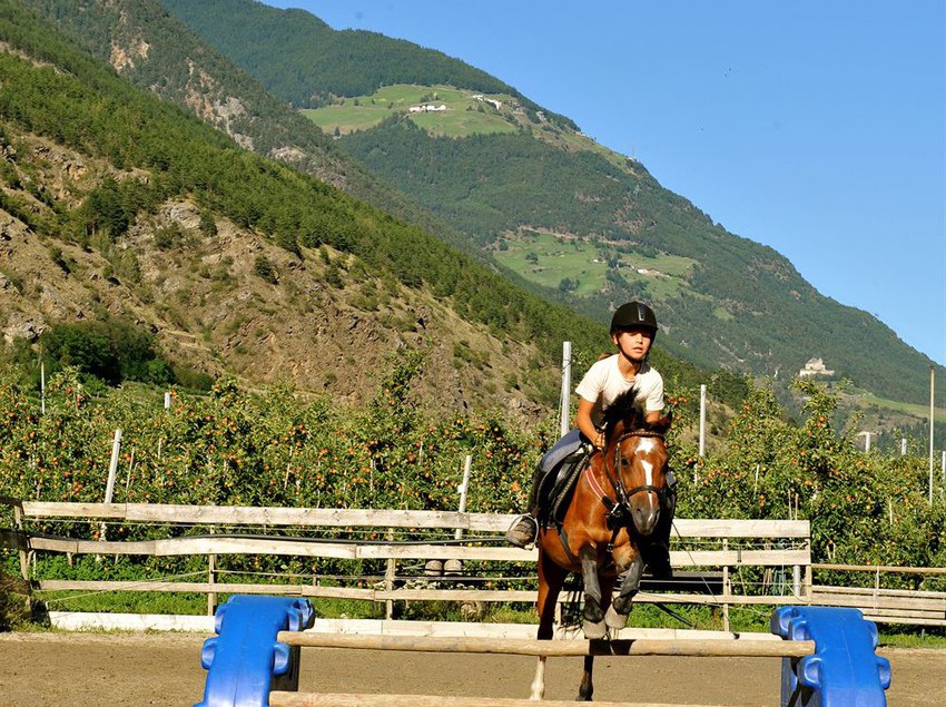 Hotel Anna  | Silandro | Bolzano | Italia 6