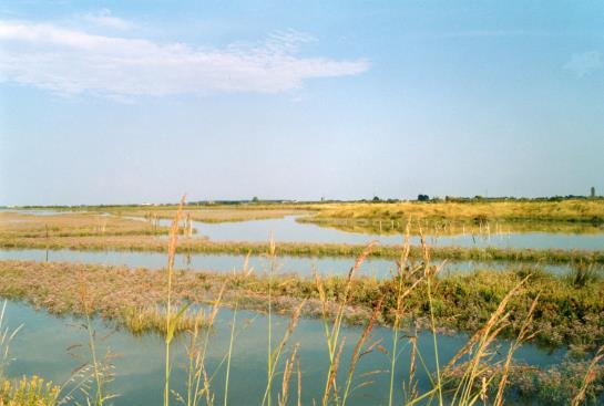 Hôtel Da Vito  | Jesolo | Venezia | Italie 19