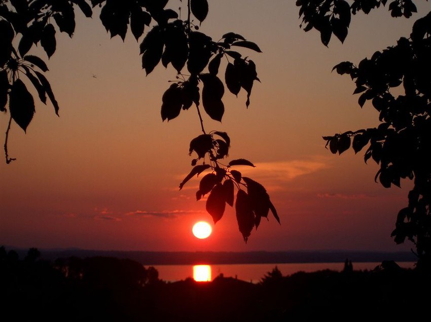 Hotel Borgo Cenaioli  | Magione | Perugia | Italia 15