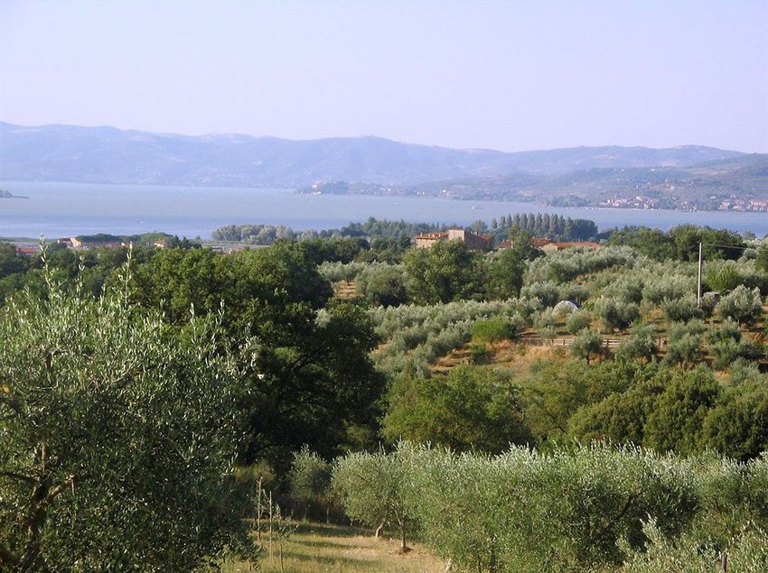 Hotel Borgo Cenaioli  | Magione | Perugia | Italia 2