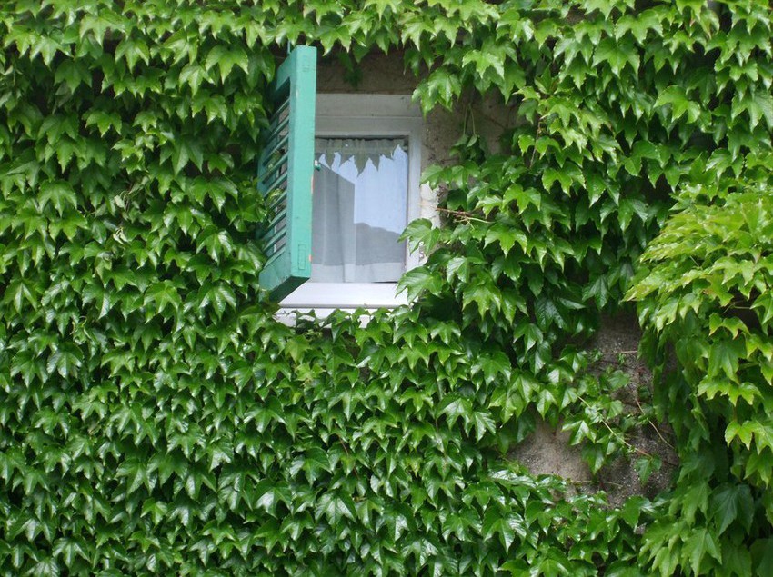 Hotel Borgo Cenaioli  | Magione | Perugia | Italia 6