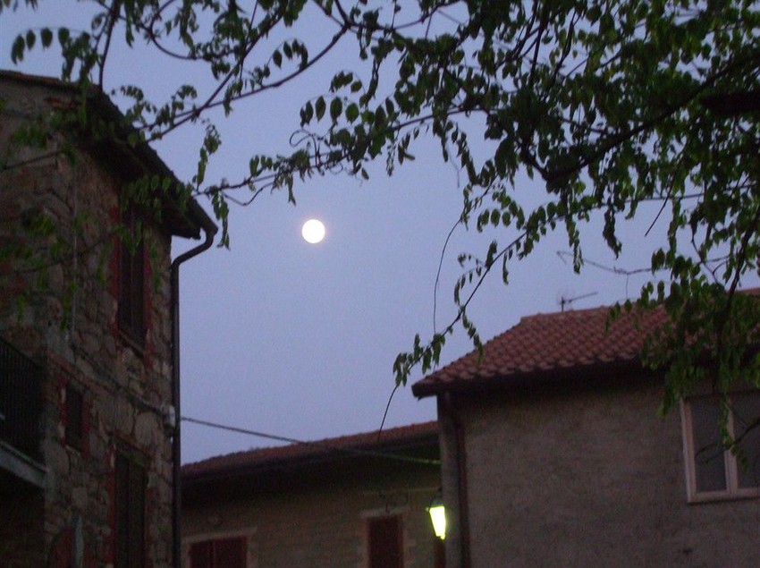 Hotel Borgo Cenaioli  | Magione | Perugia | Italia 7