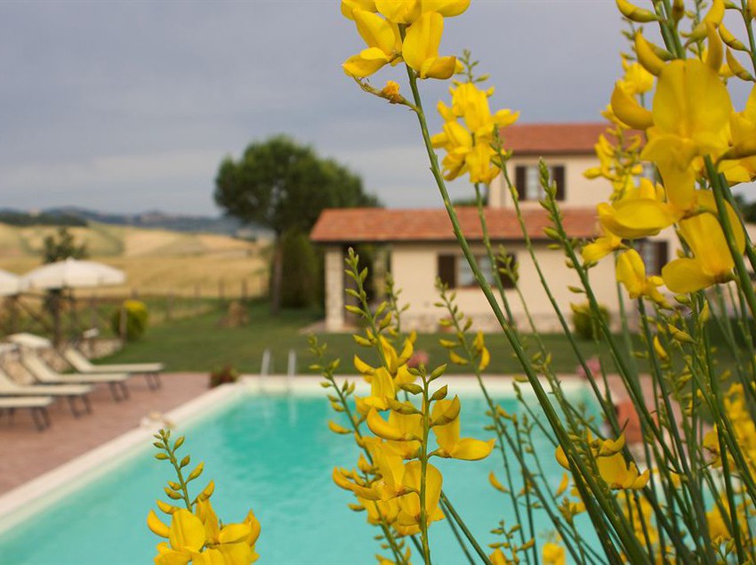 Agriturismo Sant'ansano  | Castiglione d'Orcia | Siena | Italia 2