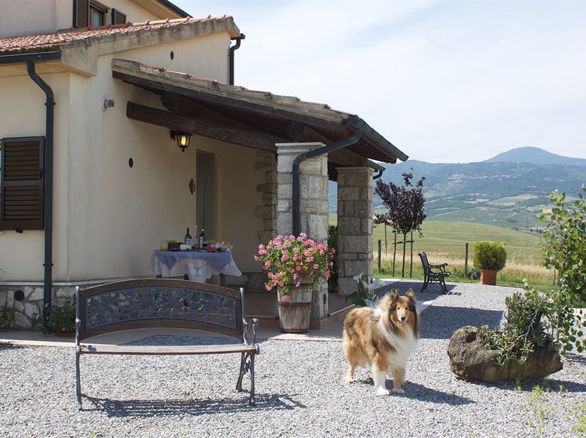 Agriturismo Sant'ansano  | Castiglione d'Orcia | Siena | Italia 6