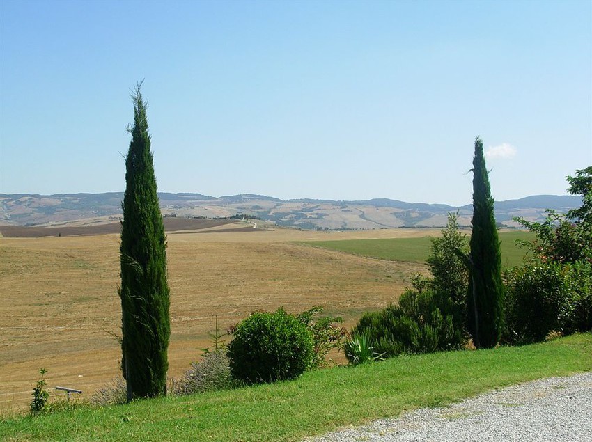 Agriturismo Sant'ansano  | Castiglione d'Orcia | Siena | Italia 7