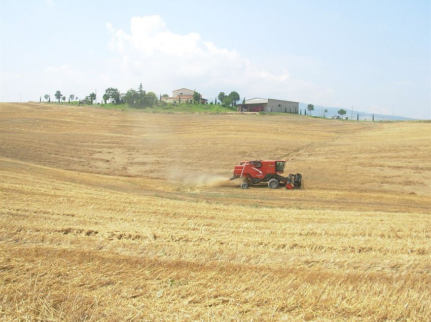 Agriturismo Sant'ansano  | Castiglione d'Orcia | Siena | Italia 9