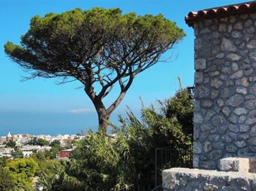 Agriturismo Terrammare