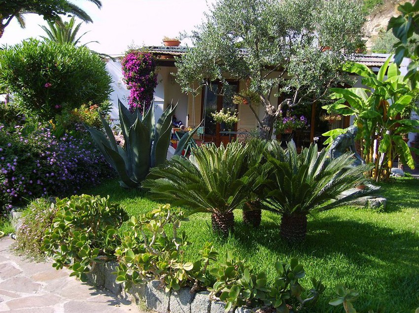 Hotel Semiramis  | Forio d'Ischia | Napoli | Italia 13