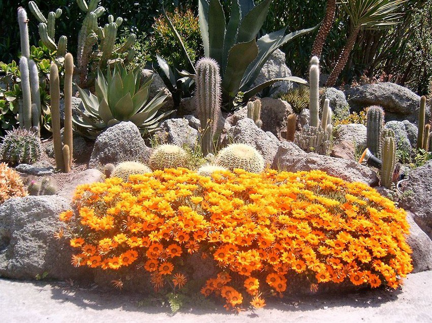 Hotel Semiramis  | Forio d'Ischia | Napoli | Italia 14