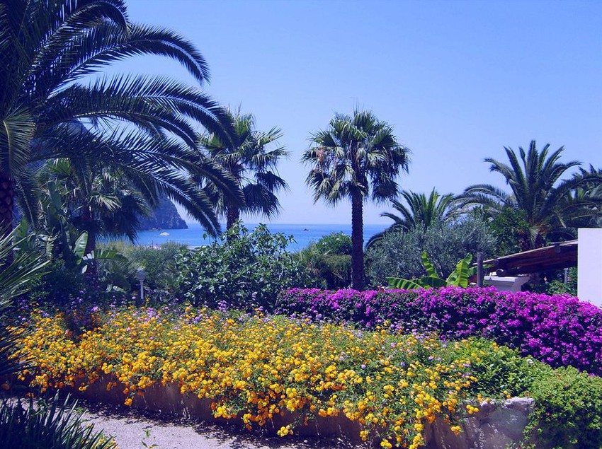 Hotel Semiramis  | Forio d'Ischia | Napoli | Italia 2