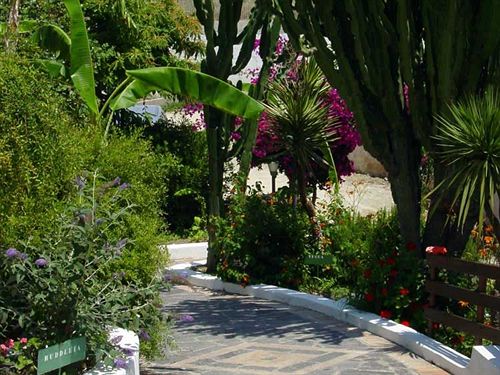 Villaggio La Pizzuta  | Parghelia | Vibo Valentia | Italia 3