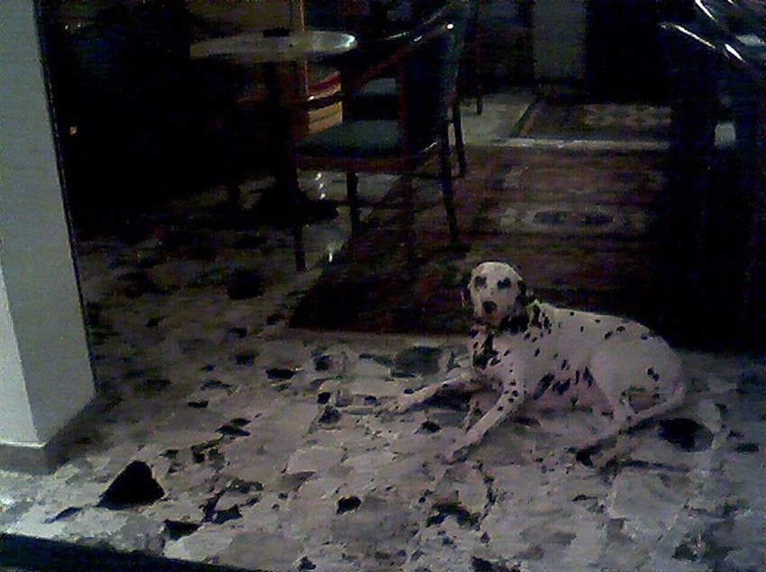 Hôtel Antonella  | Caorle | Venezia | Italie 1