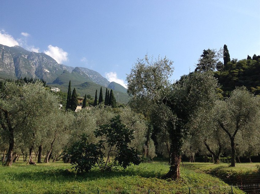 Casa Serena  | Malcesine | Verona | Italia 14