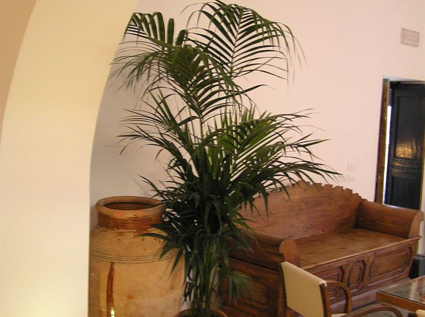 Hotel I Cinque Balconi  | Santa Marina Salina-Isola di Salina | Messina | Italia 8