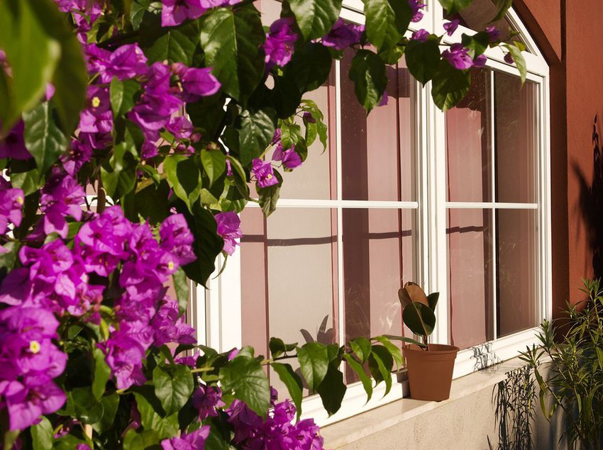 Villa Rosa  | Nago Torbole | Trento | Italia 11