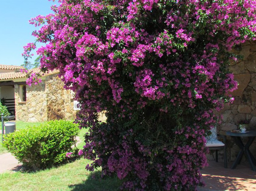 Hotel Li Suari Cerdeña