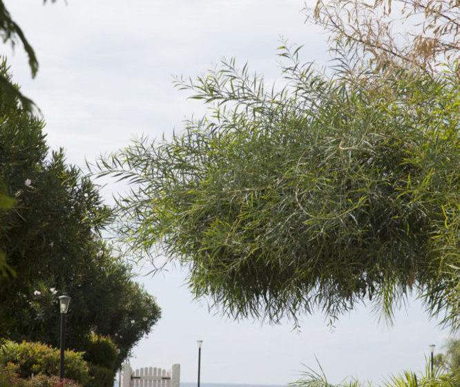 Hotel Parco Dei Principi  | Capaccio | Salerno | Italy 12