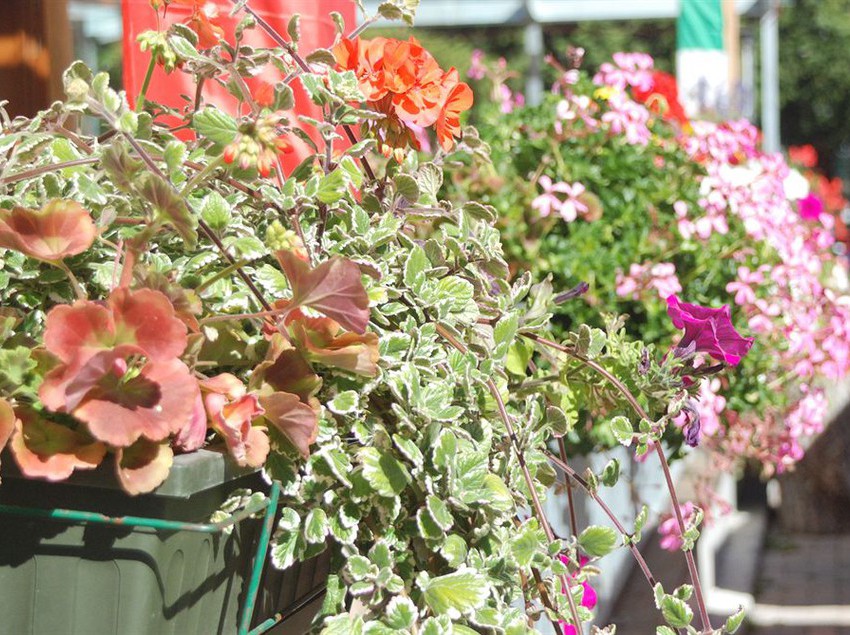 Chalet Casa Cesana  | Cesana Torinese | Torino | Italia 11