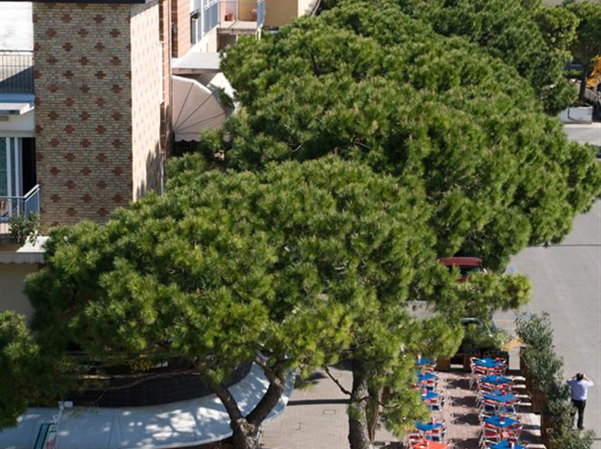Hotel Colonna Jesolo Venecia