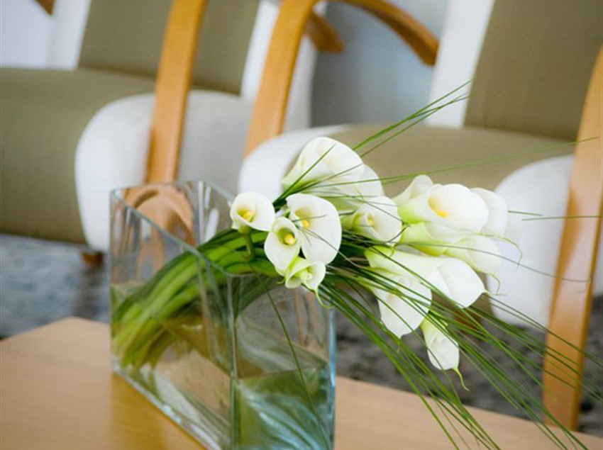 Hotel Colonna  | Jesolo | Venezia | Italia 3