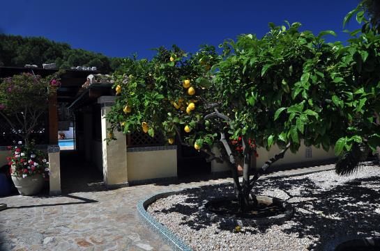Hotel Fiore Di Maggio  | Villasimius | Sardegna | Italia 10