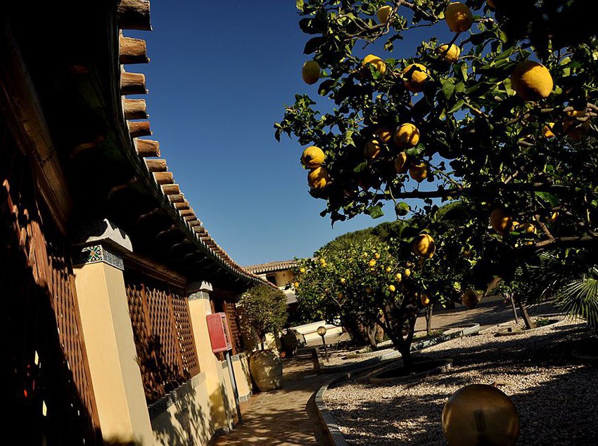 Hotel Fiore Di Maggio  | Villasimius | Sardegna | Italia 3