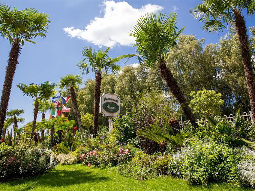 Hotel Ares  | Pontinia | Latina | Italia 1