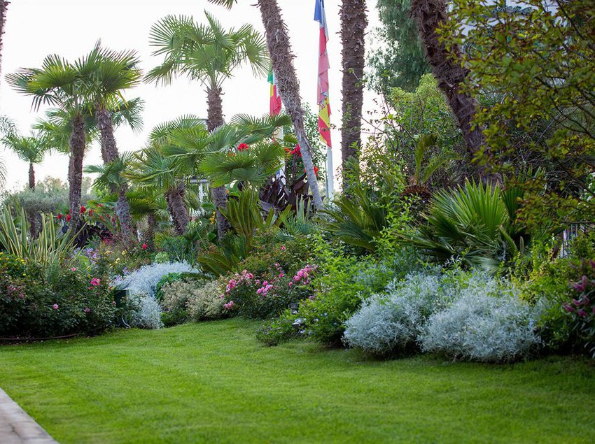 Hotel Ares  | Pontinia | Latina | Italia 11