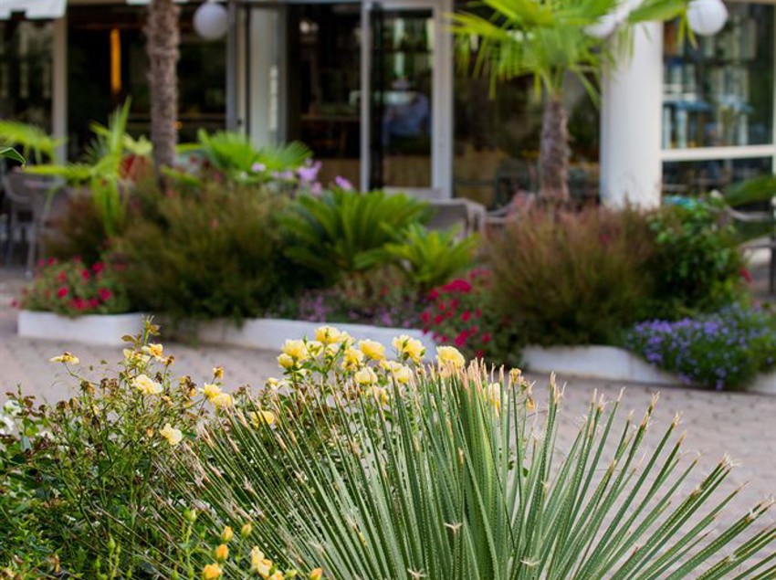 Hotel Ares  | Pontinia | Latina | Italia 15