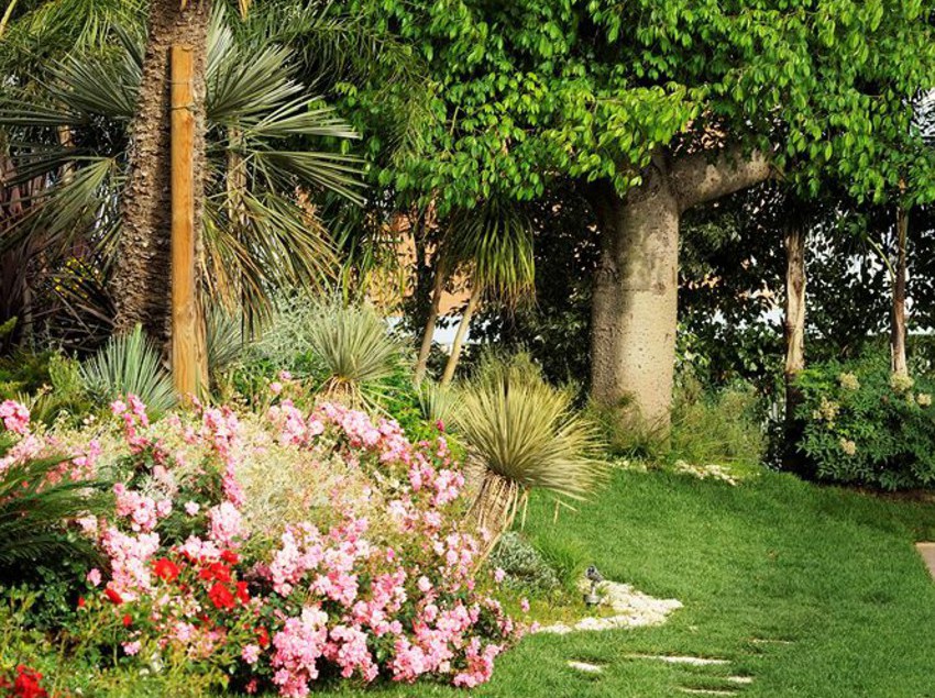 Hotel Ares  | Pontinia | Latina | Italia 2