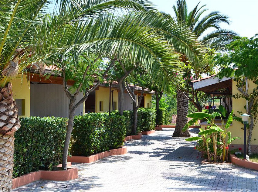 Hotel New Paradise  | Tropea | Vibo Valentia | Italia 3