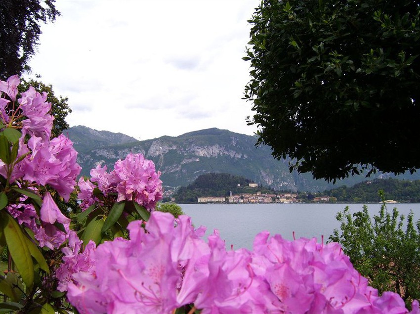 Villa La Mirabella  | Griante | Como | Italia 6