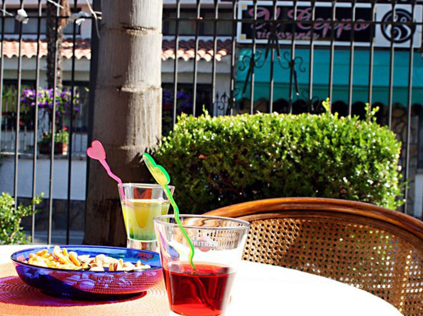 Hotel Il Ceppo  | Agropoli | Salerno | Italia 11