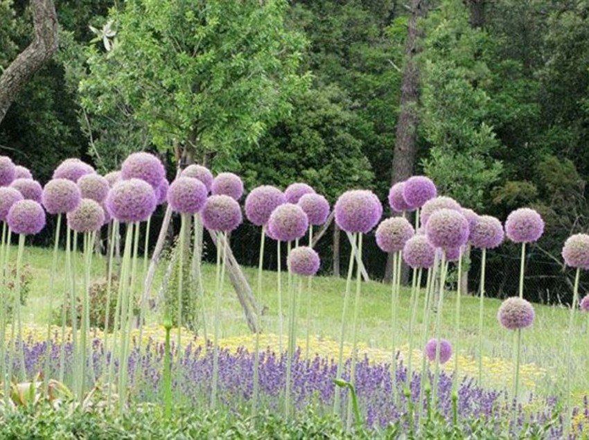 Hotel Castiglion Del Bosco  | Montalcino | Siena | Italia 4