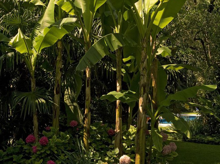 Hotel 4 Stagioni  | Bardolino | Verona | Italia 2